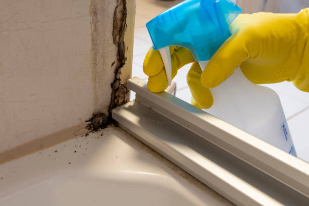 Best Fast Mold Removal  in Keansburg, NJ