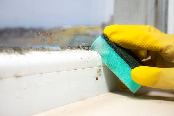 Office Mold Removal Services in Keansburg, NJ